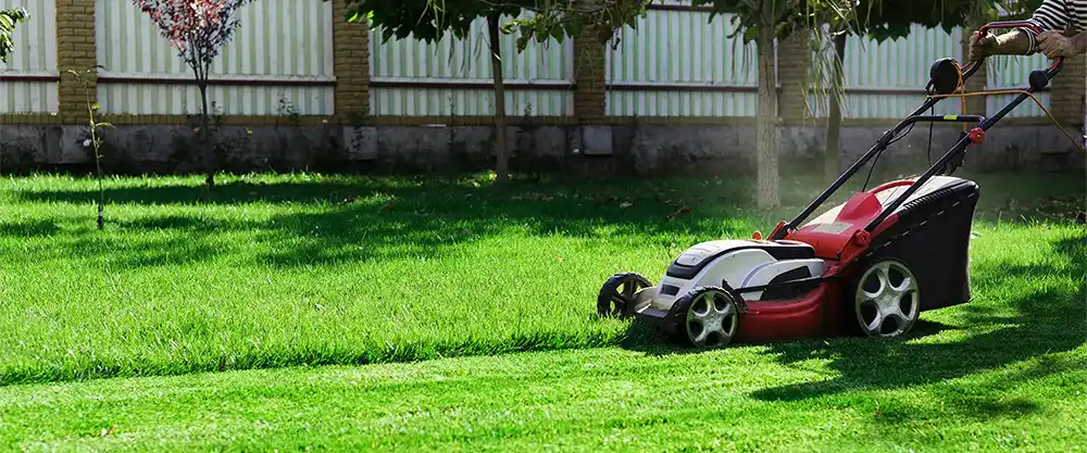 Doral Lawn Care Pros