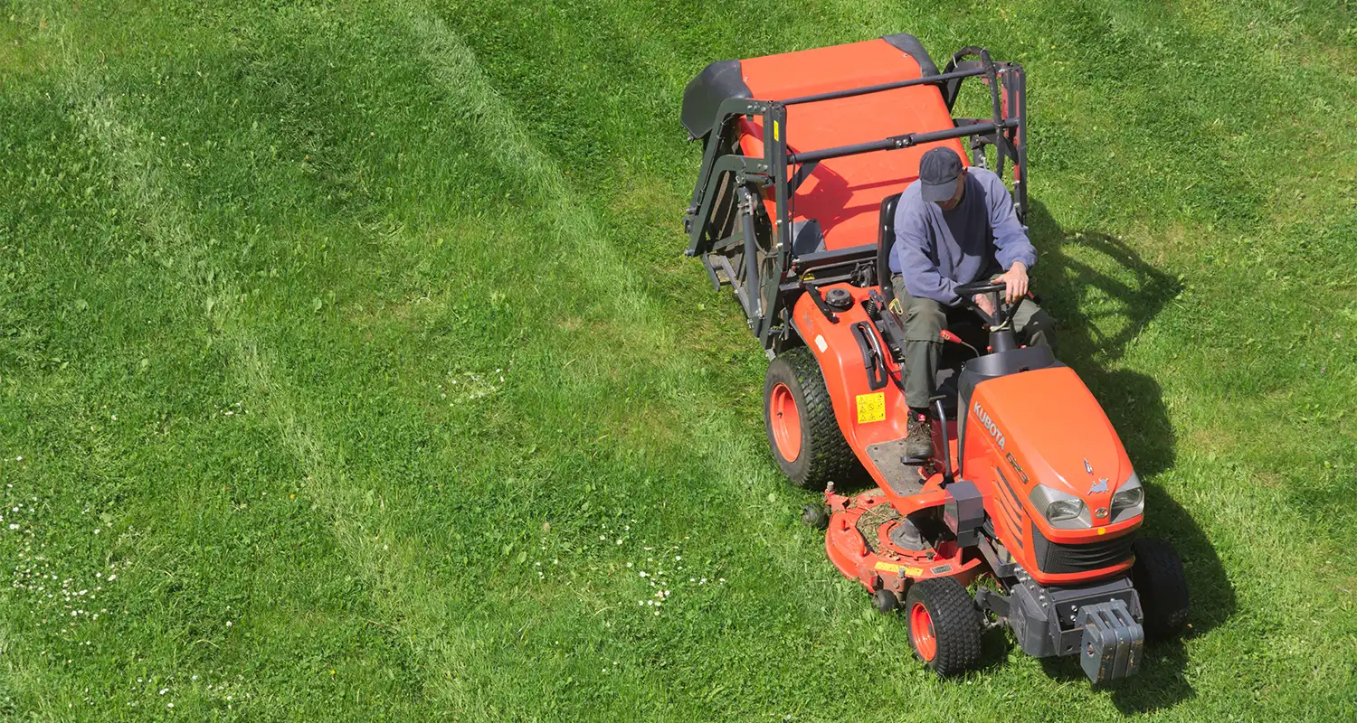 Lawn Mowing
