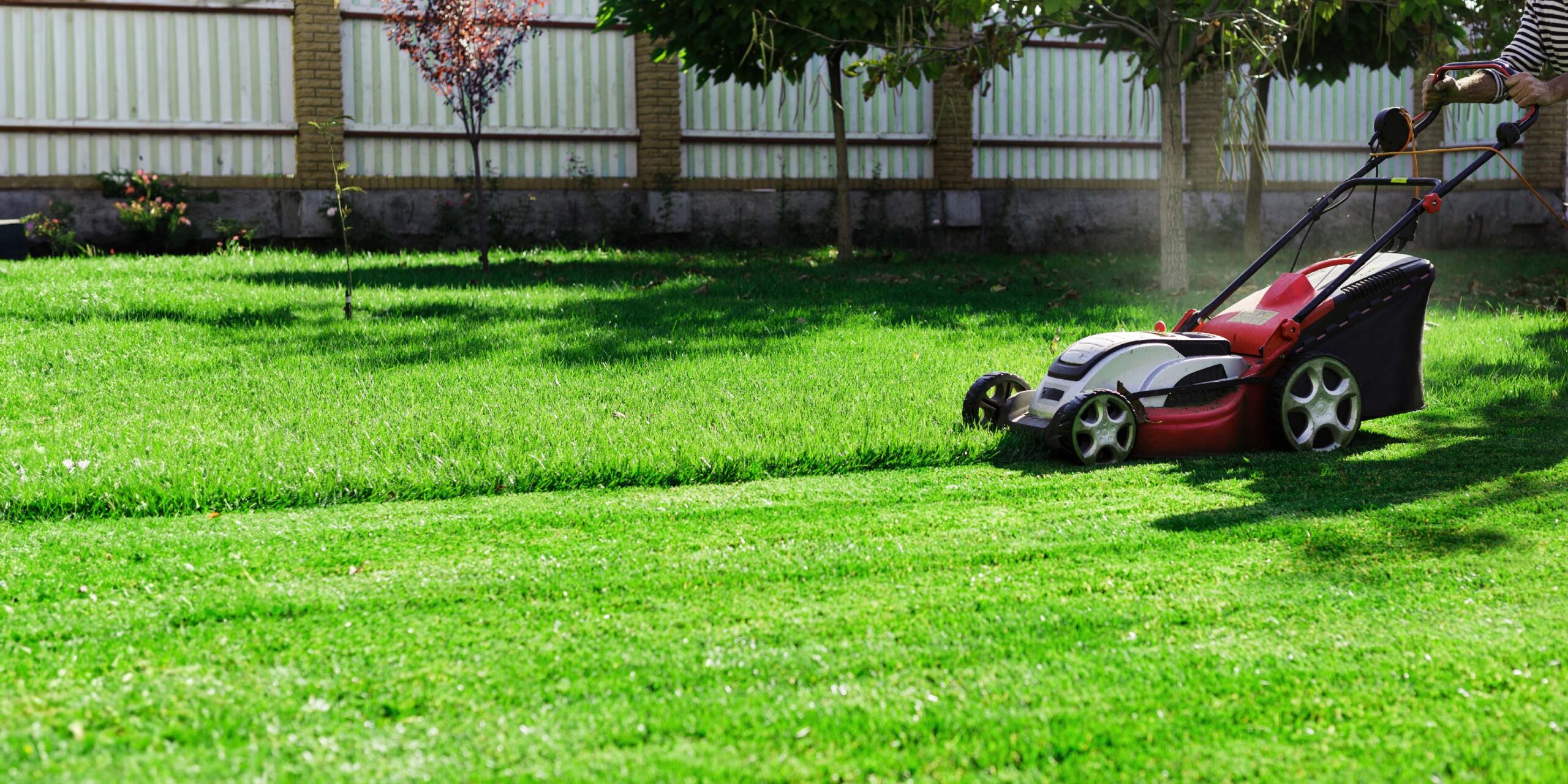 Lawn Care Services